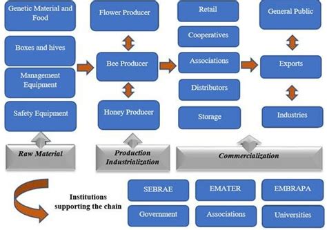 Honey Supply Chain Schematic Download Scientific Diagram