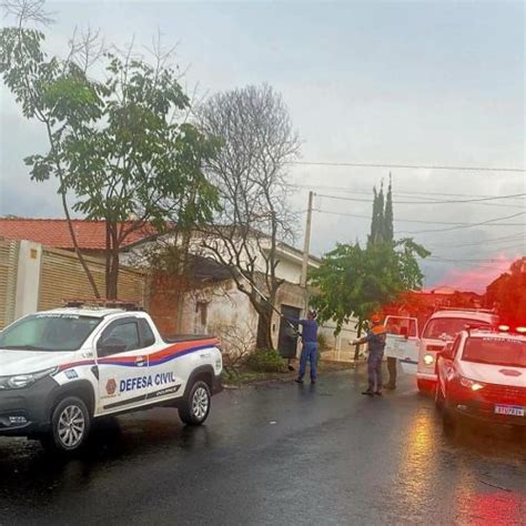 Chuva Forte Derruba Mais De Rvores Fios De Energia E Alagamentos