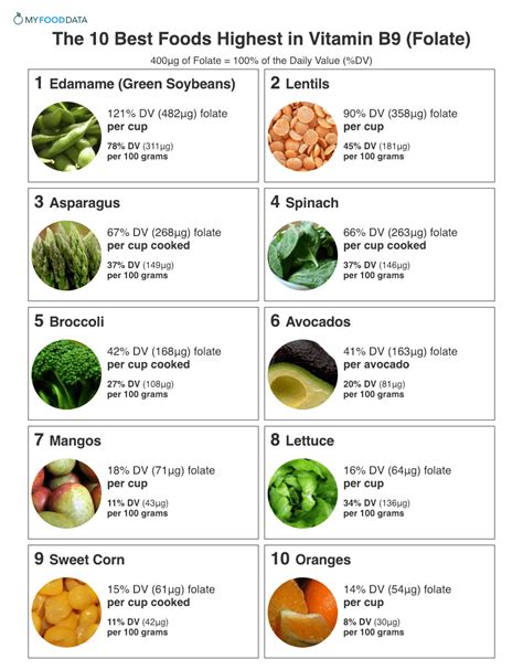 Vitamin B9 Foods