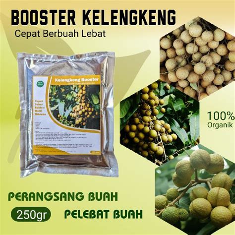 Pupuk Booster Kelengkeng Asli Agar Cepat Berbuah Lebat Organik Boster