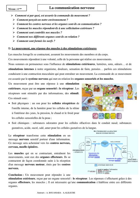 Solution Cours Le Systeme Nerveux Eme Annee College Studypool