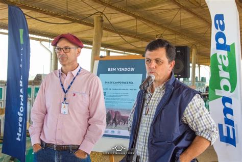 Vencedores Da Pac E Pea Hereford E Braford S O Anunciados Durante Dia