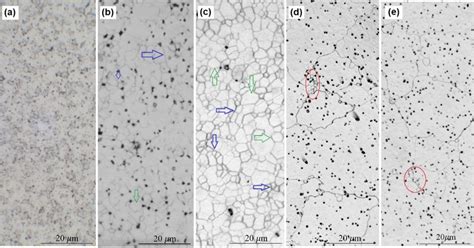 Microstructures Of The Surface Of Tungsten Samples Before And After Download Scientific Diagram