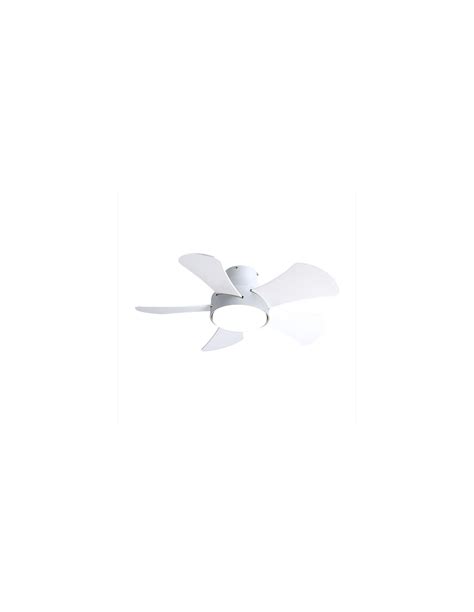 Ventilador Dc Blanco Gregario Blanca Haya