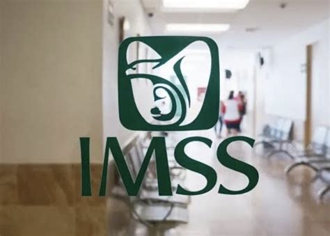 Reporta Imss Incrementos En Su Padr N De Trabajadores Salarios Y