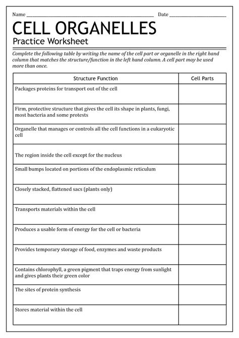 Worksheet For Cell Organelles With Answers And Examples In The Text Below