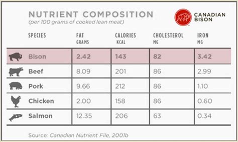 Bison Basics Nutrition