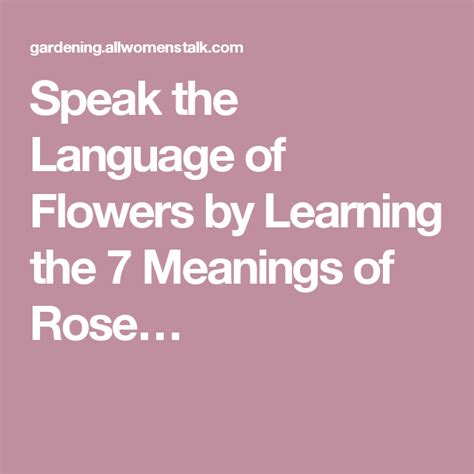 Speak The Language Of Flowers By Learning The 7 Meanings Of Rose Colors