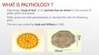 ROLE OF PALYNOLOGY IN PALEOPALYNOLOGY.pptx