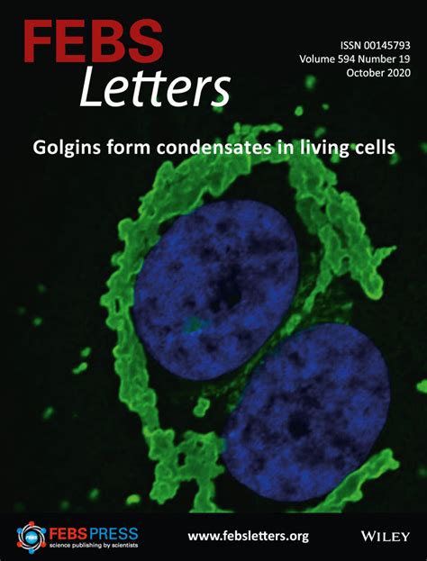 FEBS Letters: Vol 594, No 19 