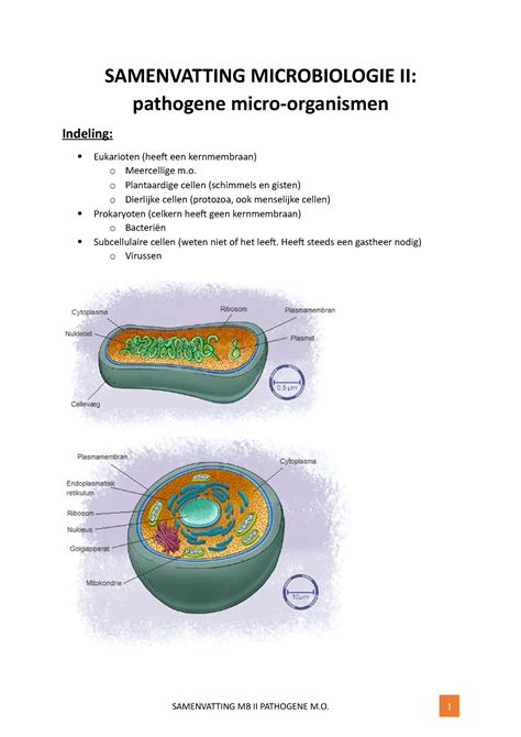 Samenvatting Microbiologie II SAMENVATTING MICROBIOLOGIE Heeft Een