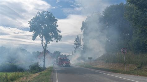 Gerissene Stromleitung verursacht Böschungsbrand in Tannroda