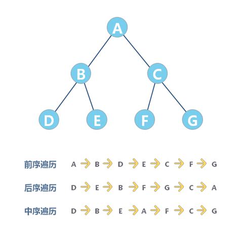 树和二叉树 Algorithm Tutorial