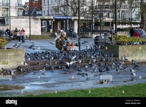 Old lady feeding pigeons, Marble Arch, London Stock Photo - Alamy