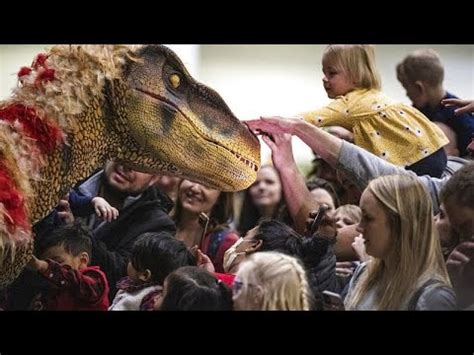 Hatalmas Csontv Zsz Rnyekkel Ny Lik Dinoszaurusz M Zeum D Ni Ban Youtube