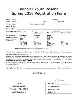 Registration Form Youth Baseball Page Pdffiller