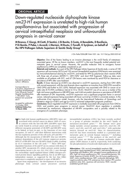 Pdf Down Regulated Nucleoside Diphosphate Kinase Nm23 H1 Expression