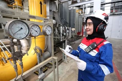 Tingkatkan Penyerapan Gas Domestik Pgn Grup Serap Pasokan Lng Idd