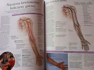 Zakurzona półka Atlas anatomiczny Ciało człowieka budowa i