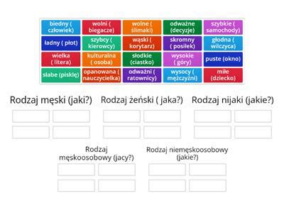 Rodzaje rymów Materiały dydaktyczne