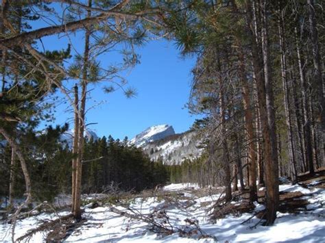 Hallett Peak Mountain Hiking Summit