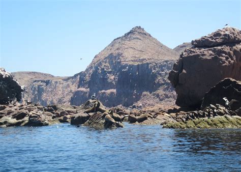 Isla Espiritu Santo Tour Mexico Audley Travel