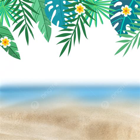 Seaside Beach White Transparent Summer Seaside Beach Leaves Plant