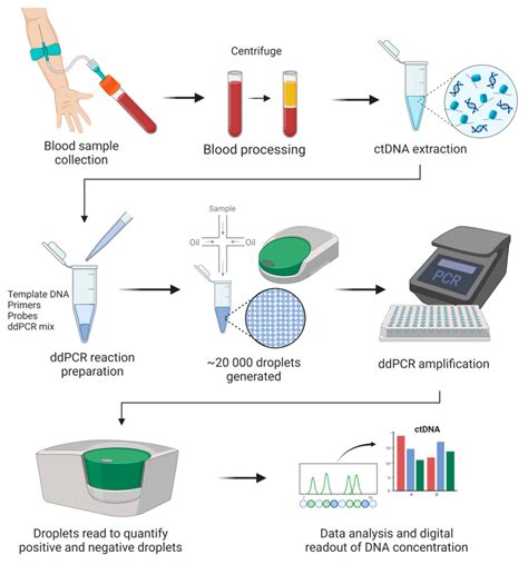 Diagnostics Free Full Text The Clinical Utility Of Droplet Digital