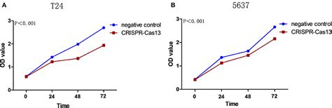 Frontiers CRISPR Cas13 Mediated Knockdown Of LncRNA GACAT3 Inhibited