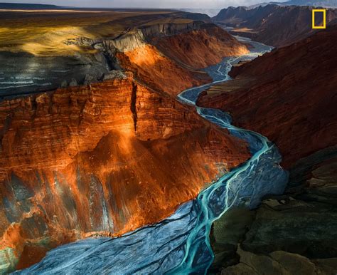 National Geographic’s 2017 Nature Photographer of the Year Contest Winners