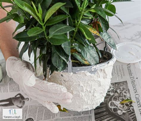 DIY Faux Concrete Planters with Spackling Compound