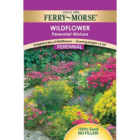 Ferry Morse Value Pack Wildflower Perennial Mixture Flower Seeds