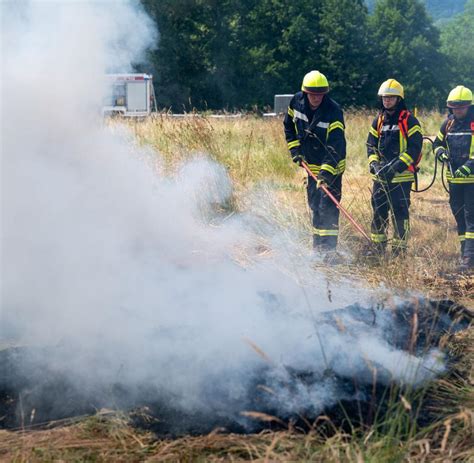 Landkreistag Früherkennung von Waldbränden verbessern WELT