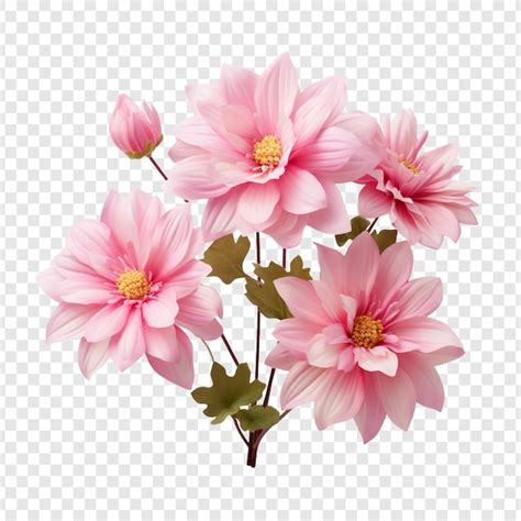 Flores Rosa Lindas Florescem Isoladas Em Um Fundo Transparente Psd