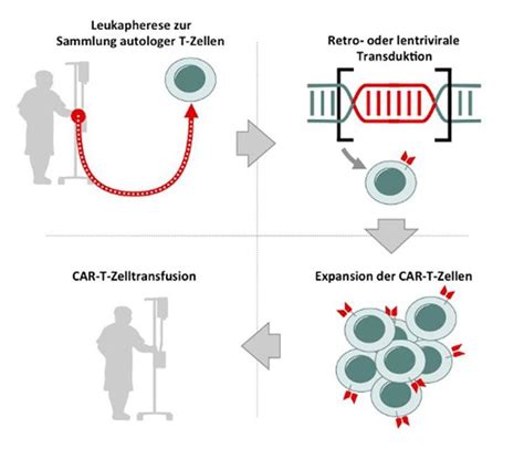 Medizinische Klinik Und Poliklinik III CAR T Zellen Und BiTEs