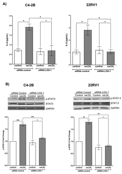 P Stat3 Y705 D3a7 Cell Signaling Technology Inc Bioz