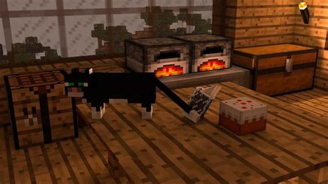 How to tame a Cat in Minecraft?: Easy guide for players