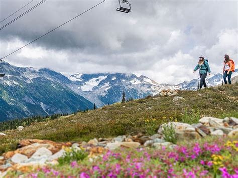 Whistler Ski Trail Map Whistler Blackcomb Trail Maps Whistler