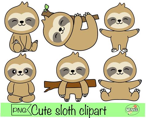 Sloth Clipart Cute Sloth Png Sticker Baby Sloth Cartoon Digital