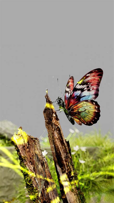 Biodiversity • Visualising AI :: Behance