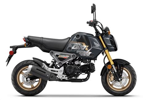 2024 Honda Grom First Look Preview V1 Moto Houston Texas