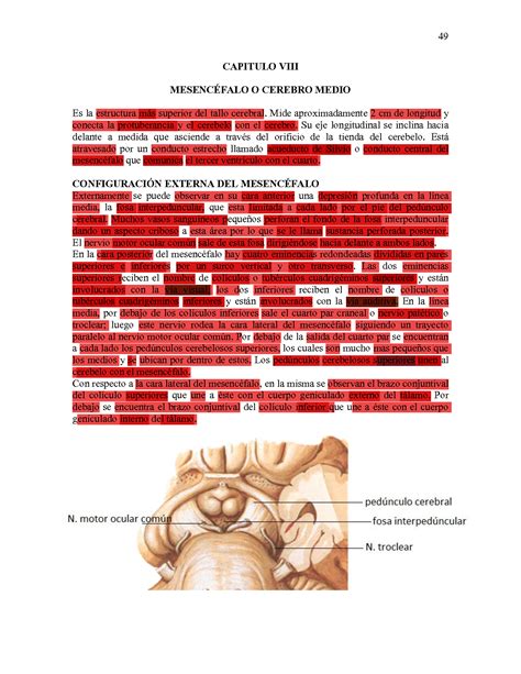 Solution Capi Tulo Viii Mesence Falo O Cerebro Medio Studypool