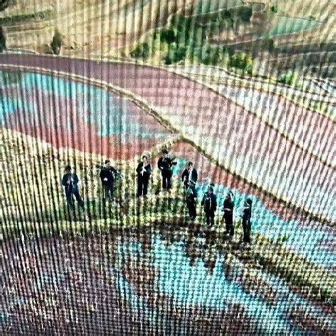 【主播来了】哈尼梯田上的“交响乐”_民歌_声部_伴奏