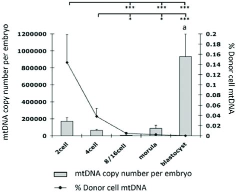 Analysis Of Total Mtdna Copy Number And Donor Cell Contribution