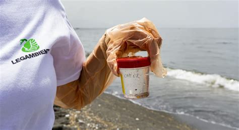 Rapporto Mare Monstrum Ventimila Reati Contro Il Mare