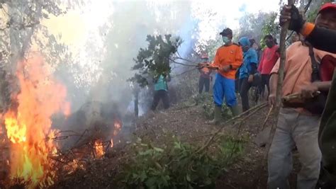 100 Hektare Lahan Di Gunung Merbabu Ludes Terbakar