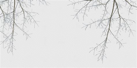 Tree Branches Background PSD, 700+ High Quality Free PSD Templates for Download