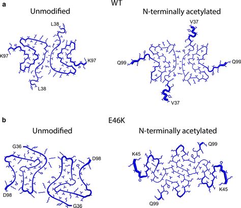 Effect Of Acetylation On α Synuclein Fibril Structure N Terminal