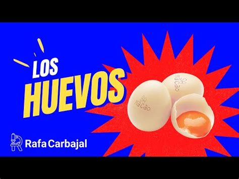 Todo lo que debes saber sobre los huevos de serpiente información