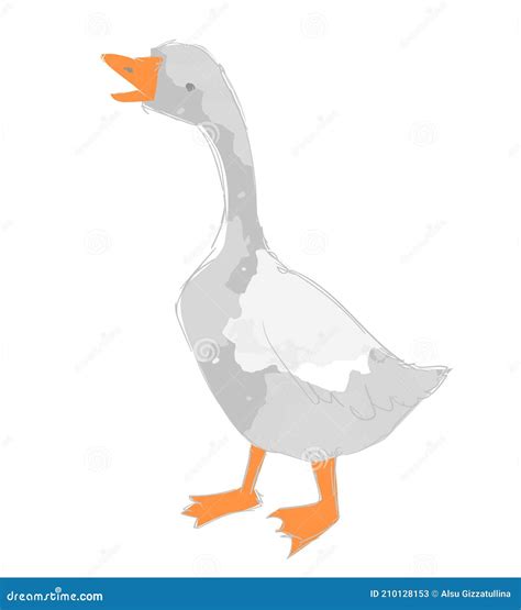 Hand Drawn Cute Goose Vector Illustration Bird. Drawing for Children ...